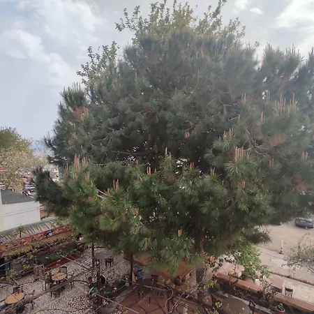 Hotel Mare & Monte *