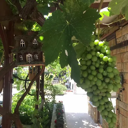 Mare & Monte Hotel Altınoluk