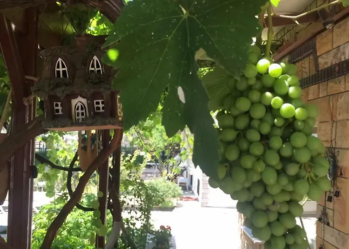 Mare & Monte Отель Алтынолук